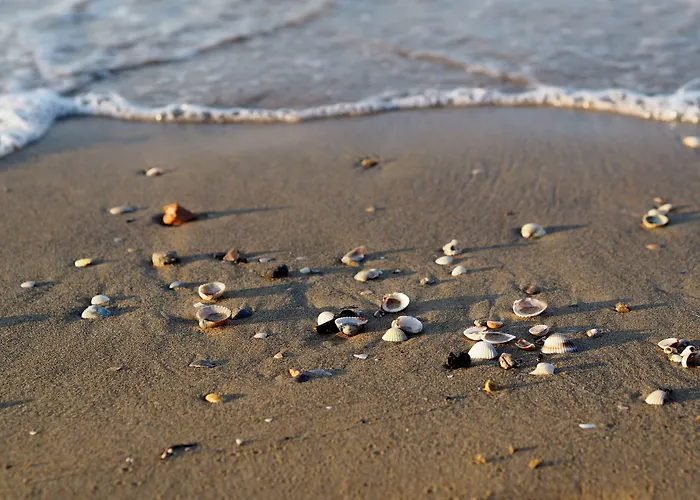 Pool-front With Fenced Garden And Bbq Appartamento Bibione